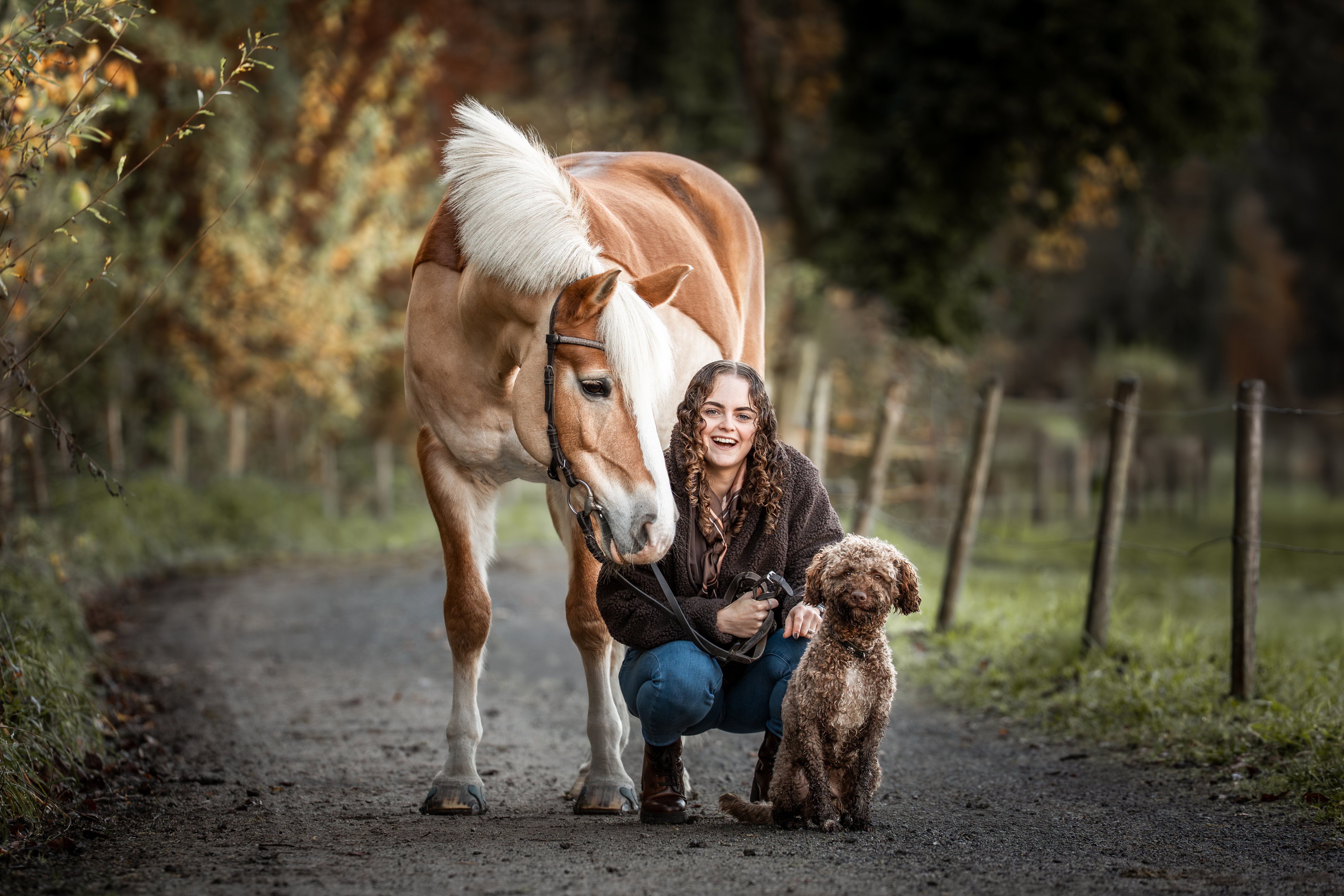 Anikin Abplanalp mit Haflinger-Stute Orlanda und Tasco – Tierfotografie als Geschenk